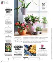 Better Homes & Gardens December 2025 Magazine Article: Festive Flowers