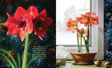 Better Homes & Gardens December 2025 Magazine Article: Page 54