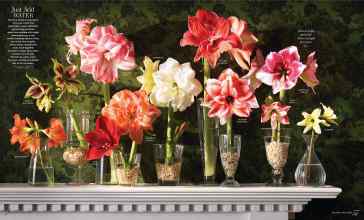 Better Homes & Gardens December 2025 Magazine Article: Page 56