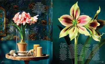 Better Homes & Gardens December 2025 Magazine Article: Page 58