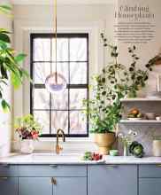 Better Homes & Gardens January/February 2026 Magazine Article: Climbing Houseplants