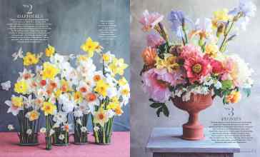 Better Homes & Gardens January/February 2026 Magazine Article: Page 64