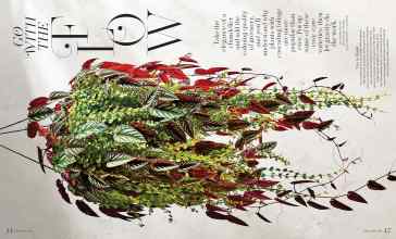 Better Homes & Gardens March 2026 Magazine Article: GO WITH THE FLOW