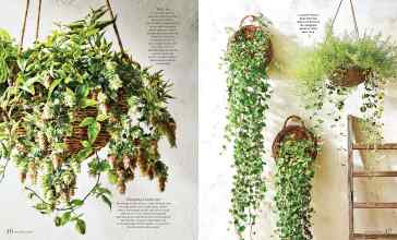 Better Homes & Gardens March 2026 Magazine Article: Page 46