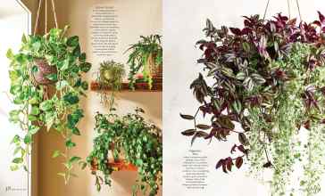 Better Homes & Gardens March 2026 Magazine Article: Page 48