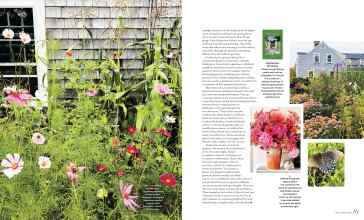 Better Homes & Gardens March 2026 Magazine Article: Page 80